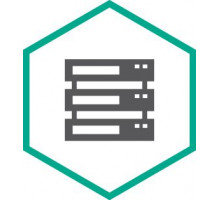 Право на использование (электронно) Kaspersky Security для систем хранения данных, Server. 1 FileServer 1 year Renewal