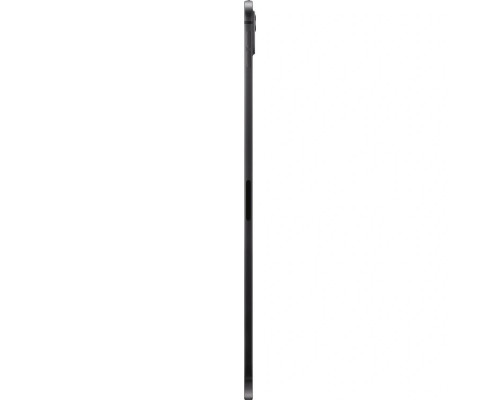 [Планшетный компьютер] Apple iPad Pro 11-inch (M5) Wi-Fi + Cellular 256Gb with Standard glass Space Black (ME2N4ZP/A)