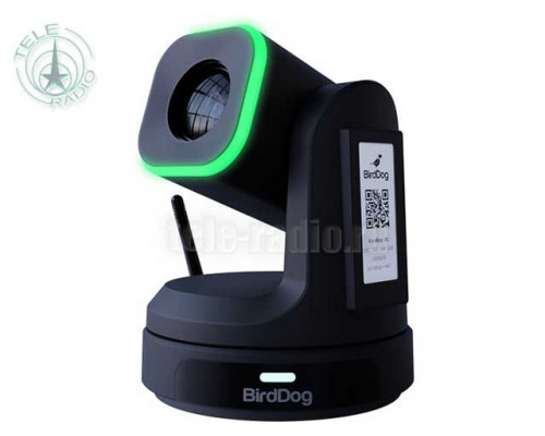 BirdDog - X1 Black камера PTZ