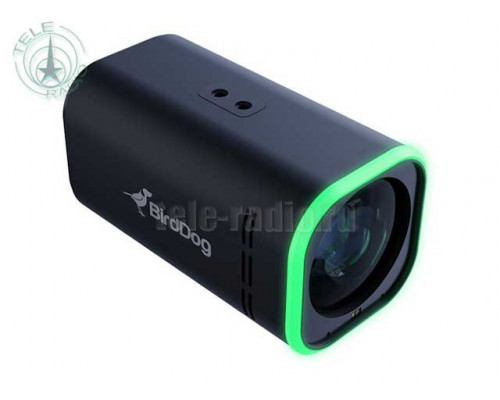 Камера BirdDog MAKI Ultra 12х