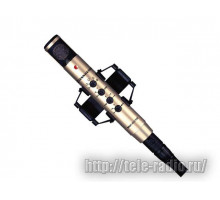 Sennheiser MKH 800 TWIN