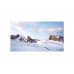 Профессиональная панель LG 55  8ms 16:9 DVI HDMI DisplayPort Mat 1200:1 700cd USB купить QBS.ru