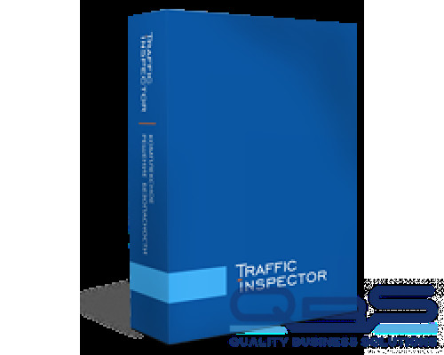 Право на использование программы (поставляется электронно) Traffic Inspector GOLD 100 купить QBS.ru