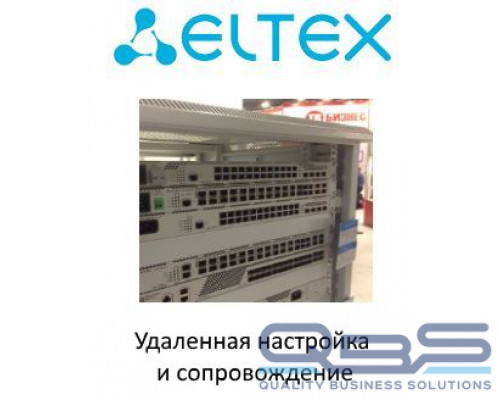 Услуга ELTEX SRV-SSW-SORM купить QBS.ru