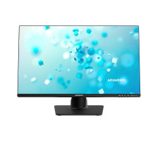 [Российские Моноблоки Aquarius] Моноблок Aquarius Mnb Pro T924 (АМПР.466539.438)23.8" / i3_12100 / DDR4_8GB / SSD256/ WiFi-BT:Wi-Fi/BT / KEY-MOU:KM/Реестр МПТ