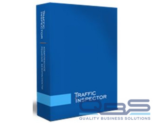Право на использование (электронный ключ) Смарт-Cофт Traffic Inspector GOLD 200 купить QBS.ru