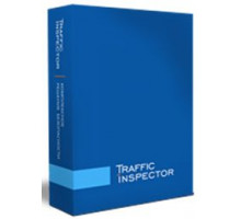 Право на использование (электронный ключ) Смарт-Cофт Traffic Inspector GOLD Unlimited