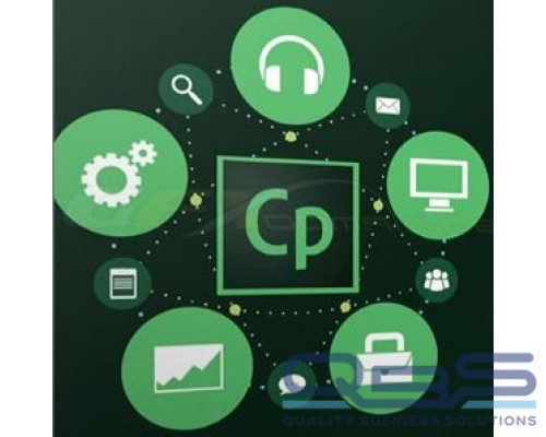 Подписка (электронно) Adobe Captivate for enterprise 1 User Level 2 10-49, Продление 12 Мес. купить QBS.ru