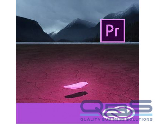 Подписка (электронно) Adobe Premiere Pro for enterprise 1 User Level 13 50-99 (VIP Select 3 year commit), Продление 12 купить QBS.ru