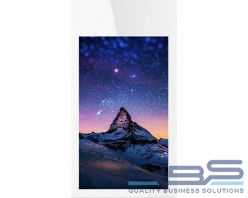 Профессиональный дисплей GoodView 55 double-sided DS display, 800/450 cd/m2, 24/7, FHD купить QBS.ru