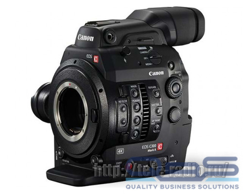 Canon C300 MarkIII (EF Mount)