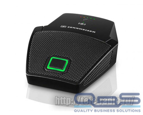 Sennheiser SL BOUNDARY 114-S DW-3 B