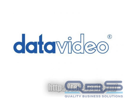 Datavideo IPV-300