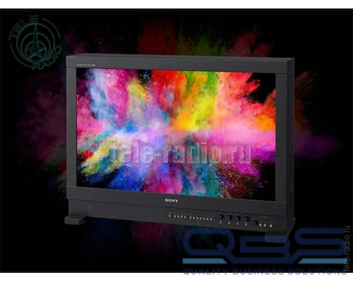 Sony BVM-HX310
