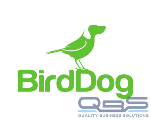 BirdDog Flex 4K IN\OUT\BackPack
