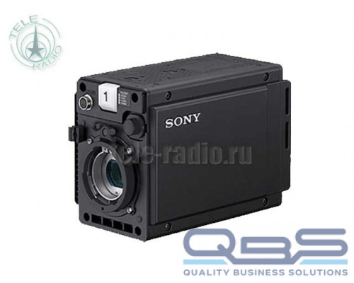 Sony HDC-P31