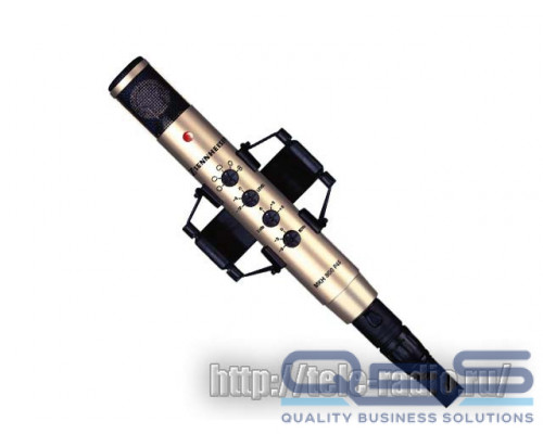 Sennheiser MKH 800 TWIN