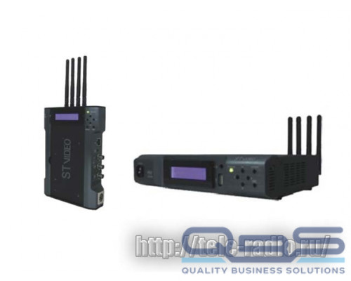 ST VIDEO STW1000